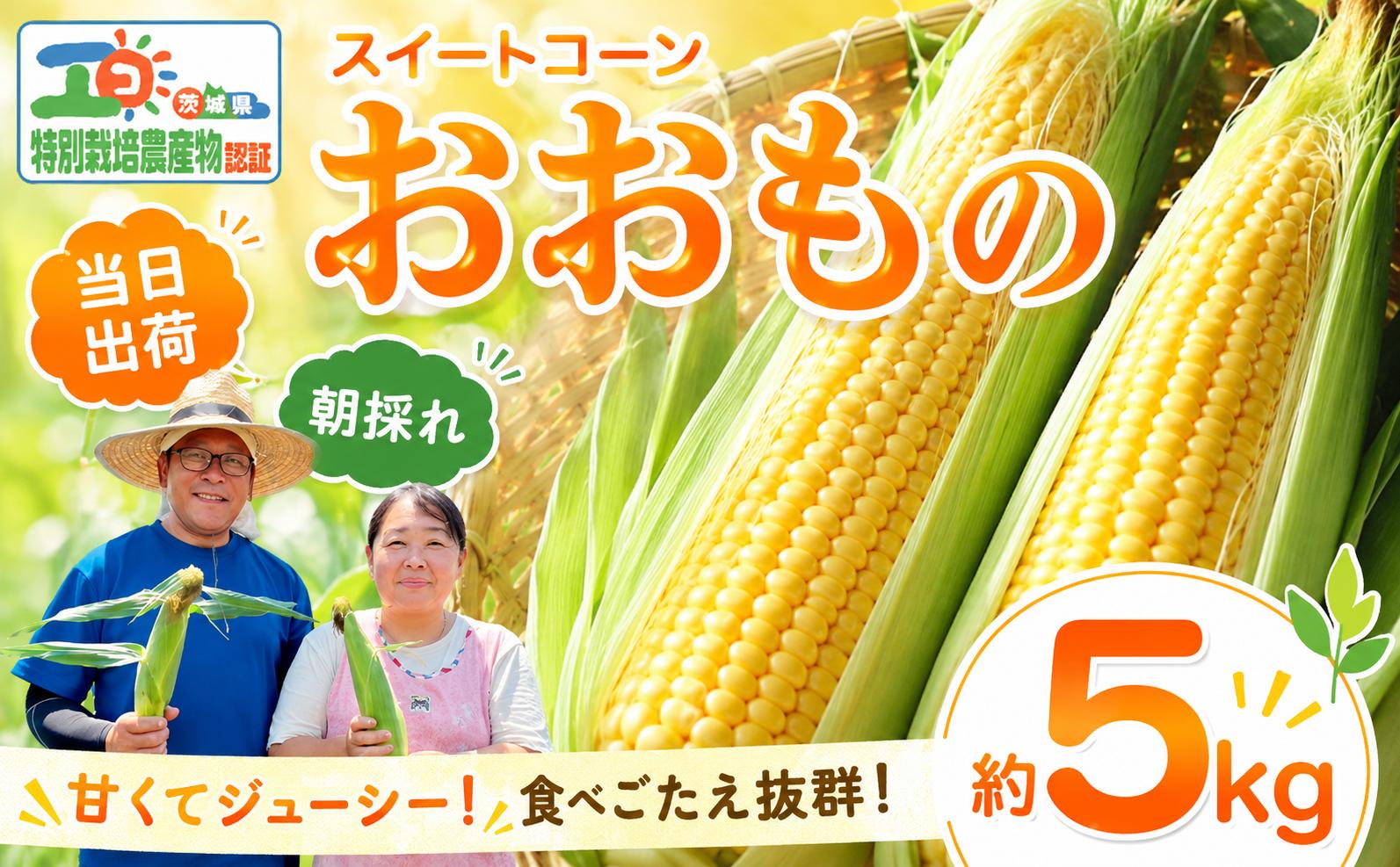 
                  【先行予約】 とうもろこし 約5kg スイートコーン （おおもの） 朝もぎ 茨城県 【7月上旬以降発送】《筑西市》 とうもろこし トウモロコシ トウキビ とうきび  コーン toumorokoshi 茨城県産 新鮮 甘い 糖度 朝どれ 朝採れ 甘い おおもの 野菜 採れたて レンチン 冷蔵 夏野菜 極甘 旬 産地直送 関東 茨城 筑西市
                