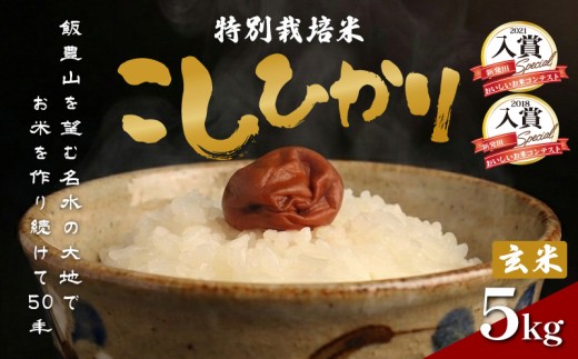 令和8年産 特別栽培米 コシヒカリ 玄米 5kg （5kg×1袋） 特栽米 新潟県産コシヒカリ 新潟米 新発田産 新潟 米 させ農園 新潟県 新発田市 sase004_202610_01