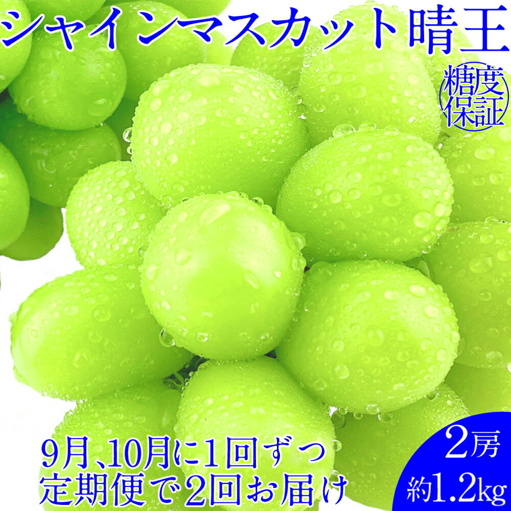 【ふるさと納税】晴王 シャインマスカット晴王 2房 約1.2kg 岡山県産 種無し 皮ごと食べる みずみずしい 甘い フレッシュ 糖度保証 クール発送 瀬戸内 晴れの国 おかやま 果物大国 満天フルーツ ぶどう 送料無料 【先行予約：2026年9月上旬～10月下旬発送予定 2回定期便】