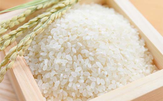 ＜定期便＞白河市産ひとめぼれ精米5kg×2ヶ月連続 米 お米 コメ ごはん ご飯 食品 F23R-981