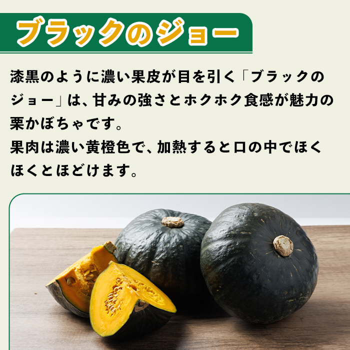 北海道士別産 かぼちゃ ブラックのジョー (4kg)【9月下旬以降準備ができ次第発送】 北海道産 国産 カボチャ 南瓜 野菜 煮物 サラダ 天ぷら 甘い 味覚の秋 【吉方農園】【A7084】