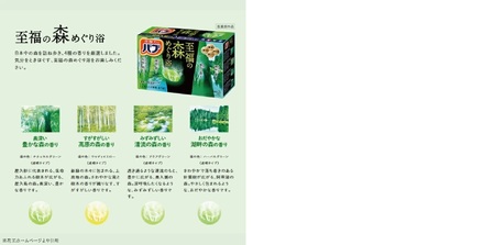 SA2530　花王バブ 6種詰合せ　各12錠×計6箱