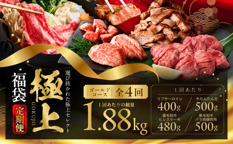 極上福袋 定期便 ゴールドコース 全4回【5種 食べ比べ 牛肉 ステーキ 牛タン 焼肉 しゃぶしゃぶ すき焼き 氷温熟成×極味付け 毎月配送コース】 mrzZ031