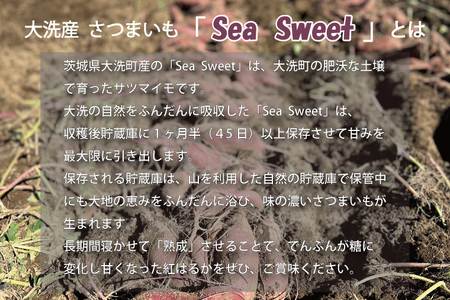  大洗産 さつまいも 紅はるか 2.5kg （8本前後） 「Sea Sweet」 長期熟成 茨城県産 サツマイモ 土付き 生芋 芋 さつま芋 薩摩芋 甘藷 べにはるか_CF002