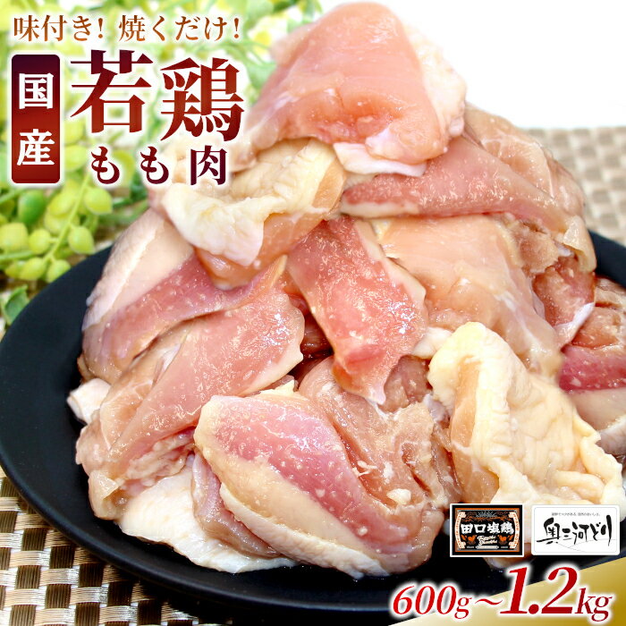 【ふるさと納税】〈選べる容量〉奥三河どり使用！ 田口塩鶏 味付け もも肉 1.2kg 600g 塩ダレ 味付け肉 鶏肉 鶏 肉 キャンプ バーベキュー 味付け肉 大容量 手軽 焼くだけ 地鶏 焼肉 焼き鳥 5000円 10000円 10000 -176