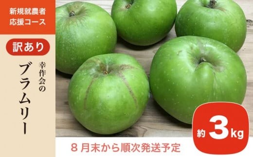 
                  【訳あり】 ブラムリー 約3kg ［新規就農者応援コース 幸作会］フルーツ 果物 リンゴ りんご 林檎 クッキング アップル 長野県産 令和7年産【2025年8月末から順次発送】 ［KH-52］
                