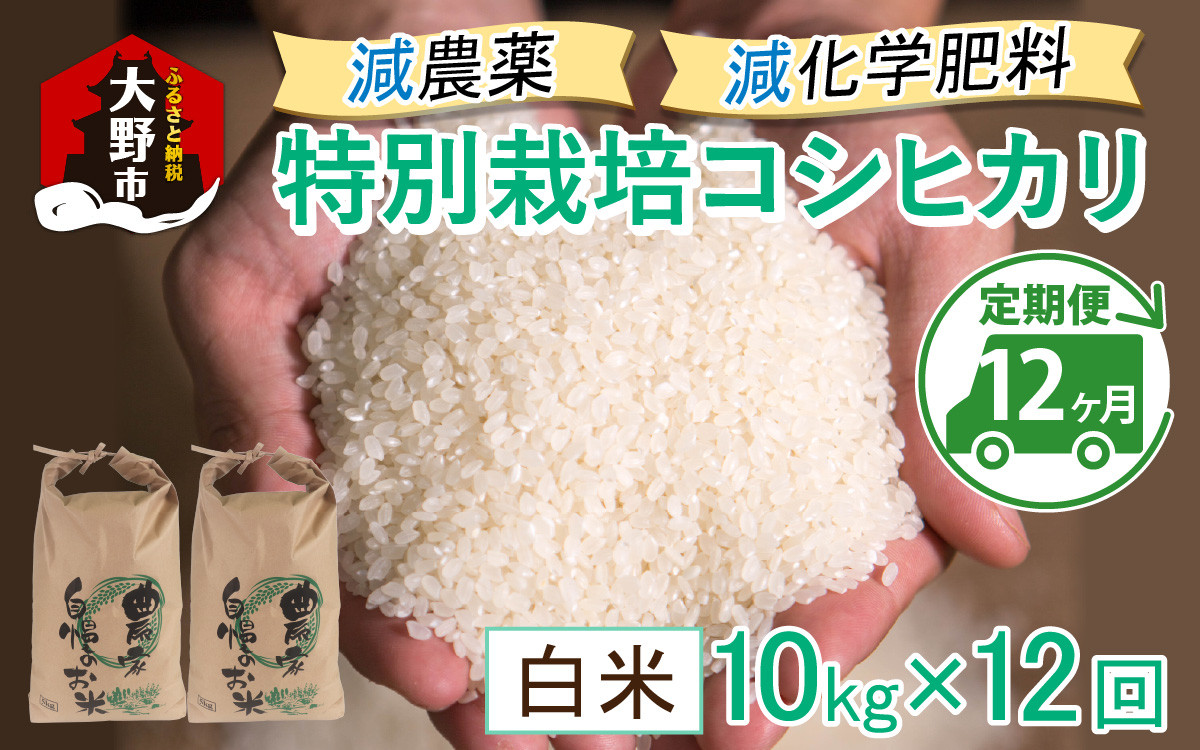 
                  【先行予約】【令和8年産 新米】【12ヶ月定期便】減農薬・減化学肥料の特別栽培コシヒカリ 白米 10kg（5kg×2袋）×12回 計120kg農家直送 福井県大野市産
                