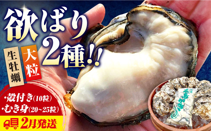 
            牡蠣 生食 むき身 殻付き かき カキ 大粒でぷりっぷり！【生牡蠣】【2月発送】かきうちの 牡蠣 むき身 500g＆殻付き 10個 かき 海鮮 和食 新鮮 簡単 レシピ 広島県産 江田島市/株式会社かきうち [XBK010]
          