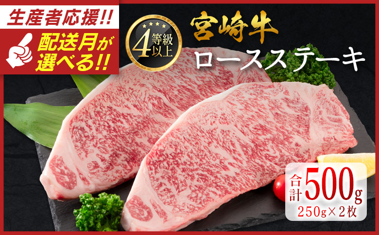 ＜配送月が選べる!!＞数量限定 宮崎牛 ロースステーキ 計500g（250g×2枚）肉質等級4等級 国産 人気 おすすめ 2025年1月お届け【C346-S-2501】