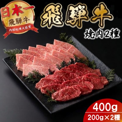 プチ贅沢!飛騨牛焼肉2種セット2人前 400g 赤身・霜降り(モモ・カタ/バラカルビ)【配送不可地域：離島】【1753979】