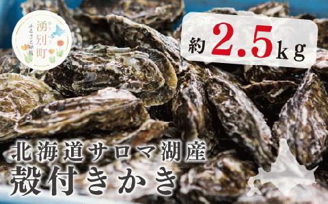 【国内消費拡大求む】≫北海道サロマ湖産殻付きかき2.5kg