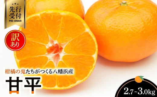 【先行受付】柑橘の鬼たちがつくる八幡浜産・甘平(2.7kg～3.0kg)＜訳あり＞＜D56-49＞_ 訳あり わけあり 柑橘 甘平 かんぺい フルーツ くだもの 果物 青果 ふるーつ 甘い 常温 産直 旬 愛媛 季節限定 傷 規格外 不揃い 希少 家庭用 【1486185】 YWTAS039