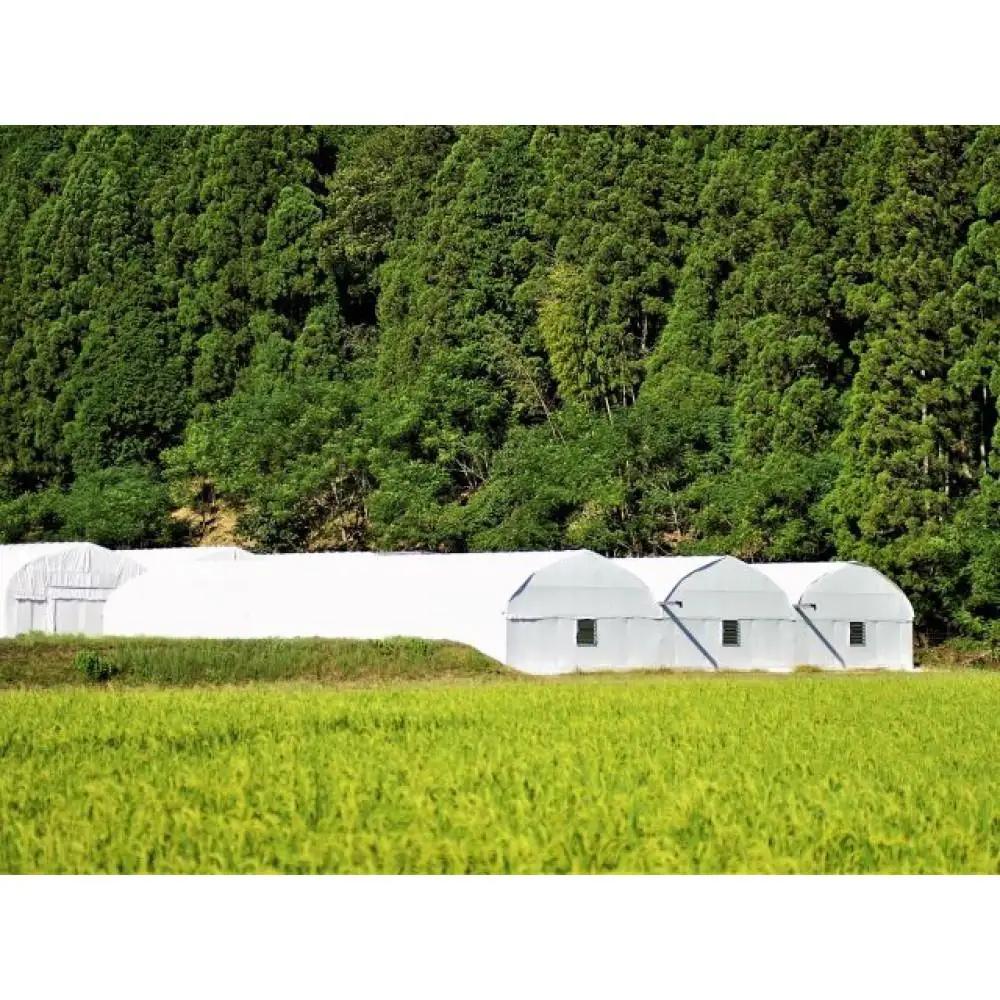 【兵庫県相生市】深山農園の 「収穫体験ペアチケット」