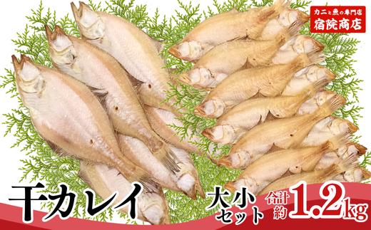 【干物 干カレイセット 合計1.2kg以上（大5～8枚 約600g、小11～15枚 約600g）香住産 冷凍】 ふるさと納税 送料無料 南蛮漬 唐揚げ お酒のお供 日本海 香住港 柴山港 兵庫県 香美