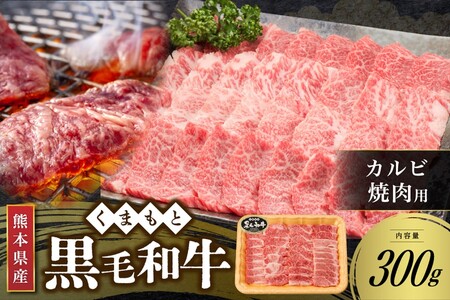 【熊本県産 黒毛和牛】 カルビ 焼肉用 300g くまもと黒毛和牛 熊本県産 黒毛和牛 焼肉 バーベキュー BBQ 和牛 牛 牛肉 国産 さくらや食品 熊本 阿蘇 南小国 南小国町 送料無料