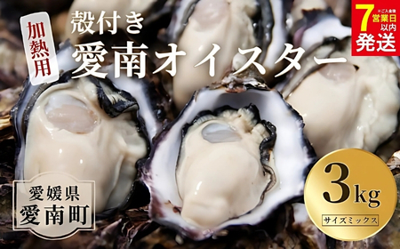 【7営業日以内発送】愛南 オイスター 3kg  牡蠣 加熱用 殻付きかき
