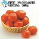 【ふるさと納税】高糖度　プレミアム小原紅早生みかん　約5kg【2024-11月中旬～2025-1月中旬配送】 | 中旬 みかん ミカン 果物 オリジナル品種 Lサイズ Sサイズ 混合 柑橘 フルーツ デザート スイーツ 産地直送