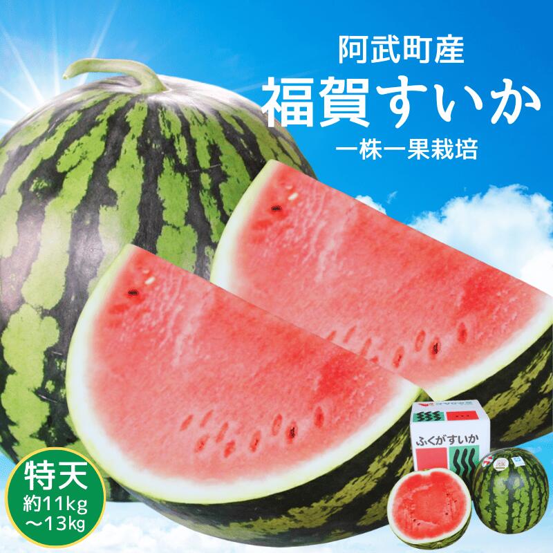【ふるさと納税】【先行予約】 1株1玉獲りの自信作「福賀 すいか」特天 約11kg～13kg 1個　果物類・スイカ　お届け：2026年7月上旬以降順次発送予定
