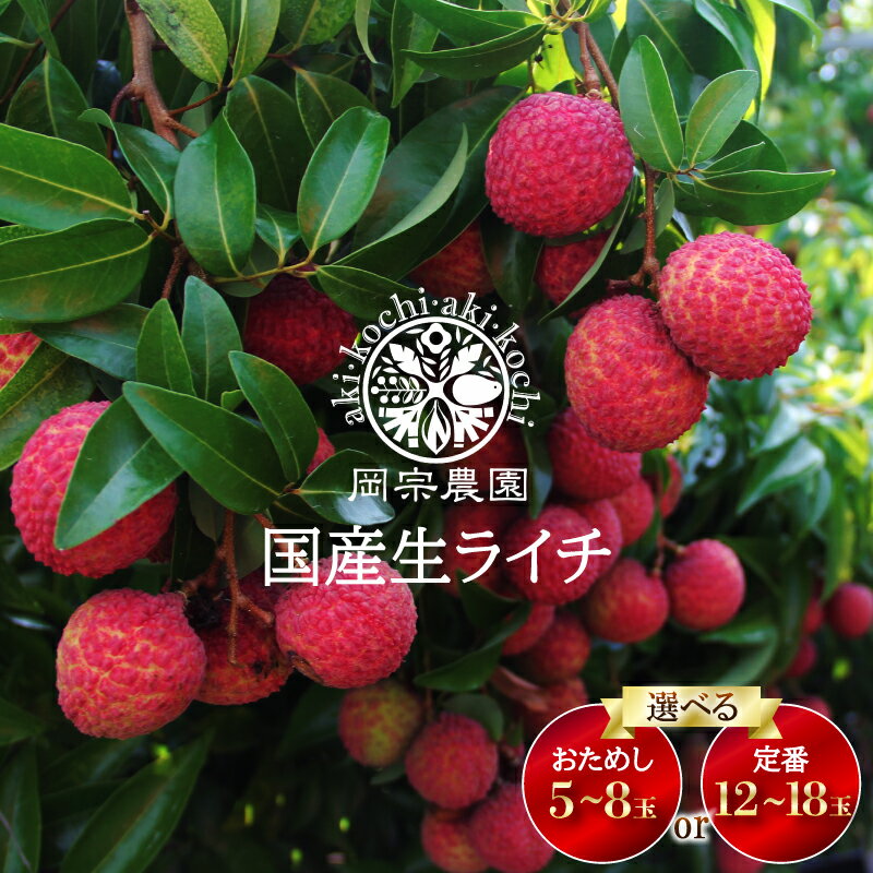 【ふるさと納税】 先行予約 生ライチ 令和8年産 5個 ～ 8個 12個 ～18個 選べる おためし 定番 ライチ メリーガーデン 高級 贈答 ギフト フルーツ R8年産 果物 旬 産地直送 国産 新鮮 特産品 季節限定 数量限定 フレッシュ デザート おやつ 贅沢 プレゼント 安芸市 高知県