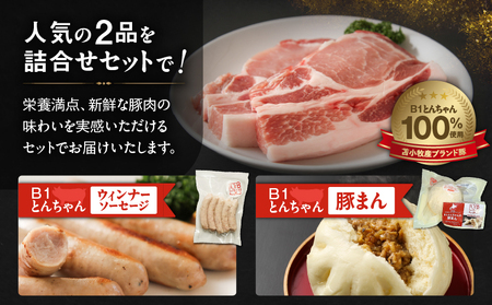 【10営業日以内に発送】 B1 とんちゃん の 豚まん 4個 、 ウィンナー ソーセージ 2袋 セット T010-002-01 ぶたまん ウインナー ウインナーソーセージ B1とんちゃん 豚肉 惣菜 