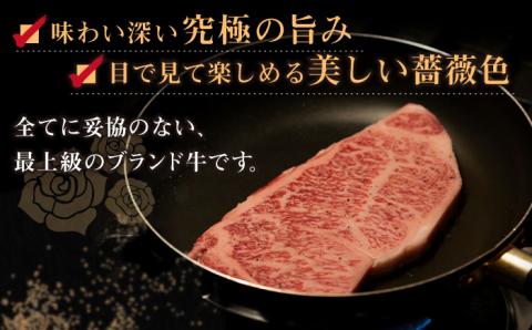 【6回定期便】【A4ランク以上】長崎和牛 出島ばらいろ 特選霜降 サーロイン ステーキ たっぷり500g（250g×2枚）＜合同会社肉のマルシン＞ [LEH028]