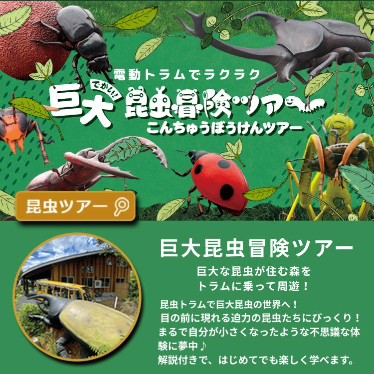 【ふるさと納税】かつやまディノパーク＋巨大昆虫冒険ツアーセットチケット(1名様分)/ キッズ 巨大昆虫 迷路 化石 前売り券 家族旅行 [A-088001]