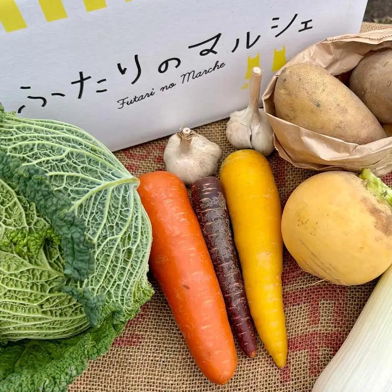 季節の彩り野菜セットSサイズ(5～7品) 野菜 詰め合わせ 新鮮 産地直送 北海道 江別市 EB8-0153