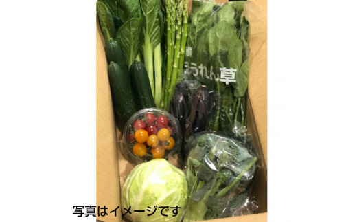 イーハトーヴ野菜C  もりもりセット 12～15品  詰め合わせ 【1207】