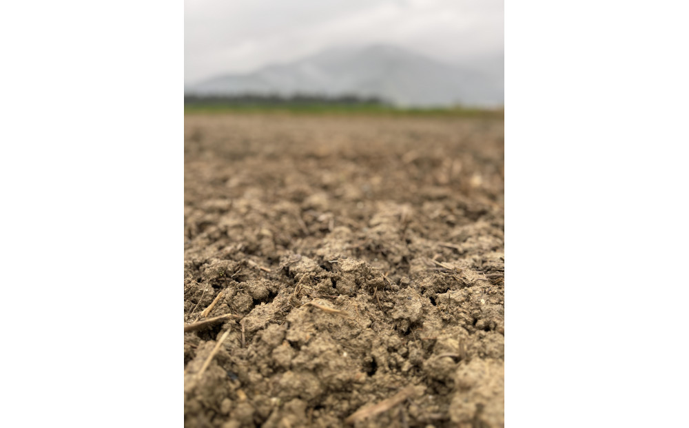 【令和7年産】南魚沼塩沢産コシヒカリ＜yusui＞5kg　白米