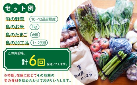 【全6回定期便】壱岐産食材詰め合わせBOX「野菜」 [JBF016] 120000 120000円 12万円 コダワリ野菜 こだわり野菜 おすすめ野菜 おススメ野菜 人気野菜 定番野菜 通販野菜 お取