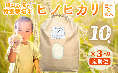 【3回定期便】減農薬 特別栽培米 畑中さん ひのひかり 白米 10kg ヒノヒカリ 奈良県
