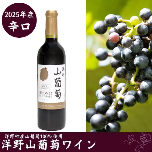 【ふるさと納税】【2025年産】洋野山葡萄ワイン 720ml（辛口）