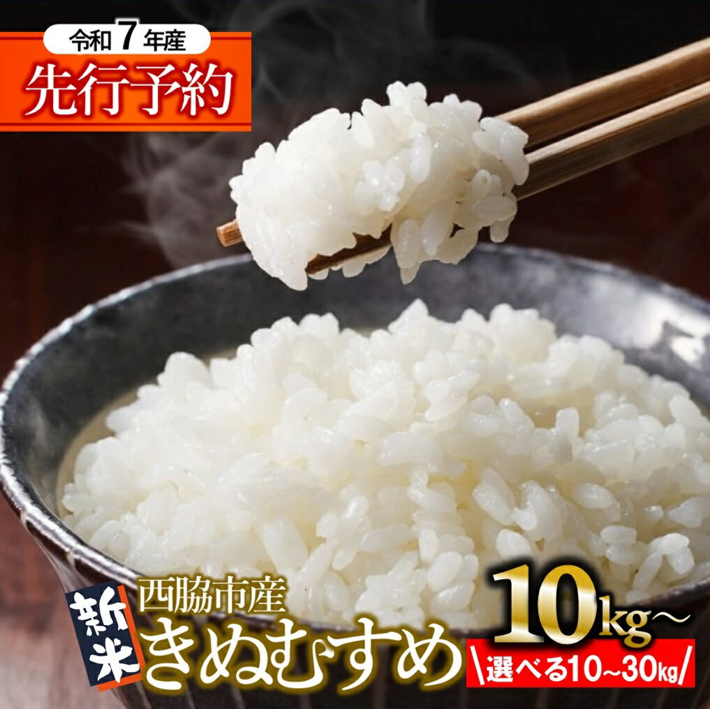 【ふるさと納税】【新米先行予約】【令和7年産 きぬむすめ 】白米 10kg / 20kg / 30kg 米 お米 兵庫県産