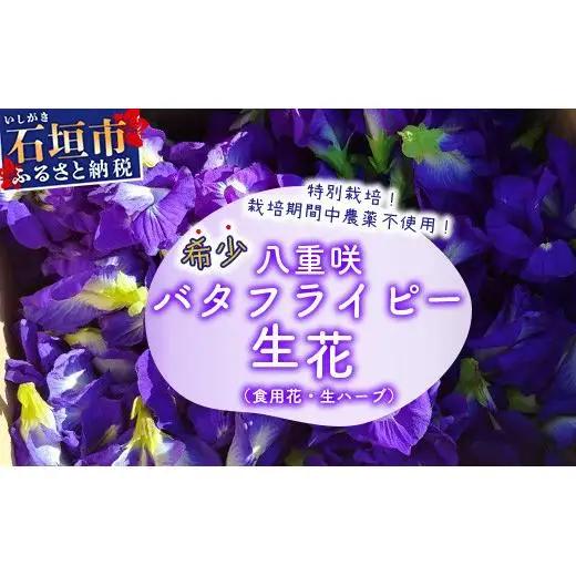 希少！採れたて新鮮！八重咲バタフライピーの生花　OI-8