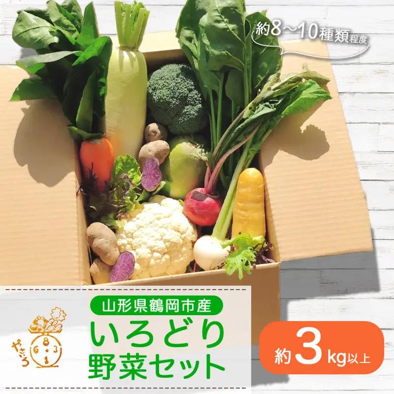 いろどり野菜セット (約8～10種類程度) 3㎏以上 山形県鶴岡産 やさいろ