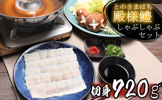 殿様鱧（とのさまはも）しゃぶしゃぶセット 切身720g 6人前～8人前 鍋 魚 鱧 はも ハモ 鱧しゃぶ 湯引き 鱧鍋 鱧しゃぶセット しゃぶしゃぶ 骨切り 天然鱧 冷凍 父の日 ＜101-013_5＞