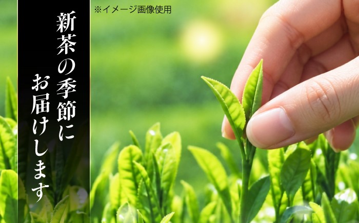 美濃白川茶 新茶セット お茶 おちゃ お茶葉 茶葉 緑茶 新茶 しんちゃ 白川茶 白川町