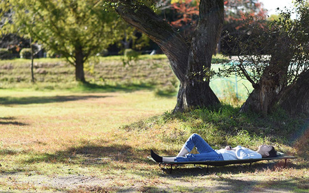 【DOD】バッグインベッド（ CB1-510-TN ）