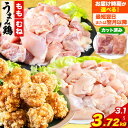 大容量 熊本県産 若鶏もも肉 約250g前後×13パック 小分けタイプ たっぷり 合計3.25kg 熊本県津奈木町《出荷時期をお選びください》 ふるさと納税 鶏肉 小分け もも とり肉 鳥肉 肉 若どり 訳あり ではありません