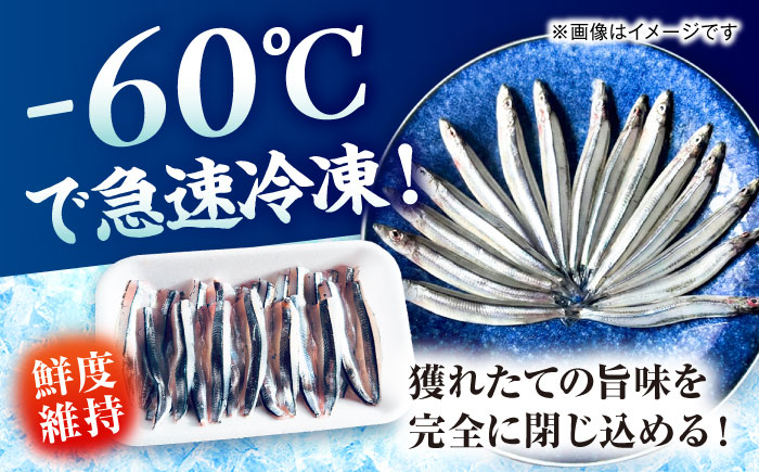 五島漁師のきびなご入門　お刺身キビナゴ15尾＆まるごとキビナゴ150g×2パック 五島市/Sun Sea Go Company [PGL025]