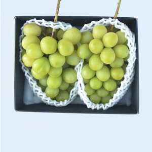 【発送月固定定期便】山梨市産　旬のフルーツ定期便全4回【配送不可地域：離島・沖縄県】【4074306】