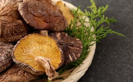 【6ヶ月定期便】大分産椎茸こうしん 750g（50g×15袋）合計4,500g 90袋 乾燥椎茸 乾燥 しいたけ 干し椎茸 乾し椎茸 乾燥野菜 原木こうしん 大分県 九重町