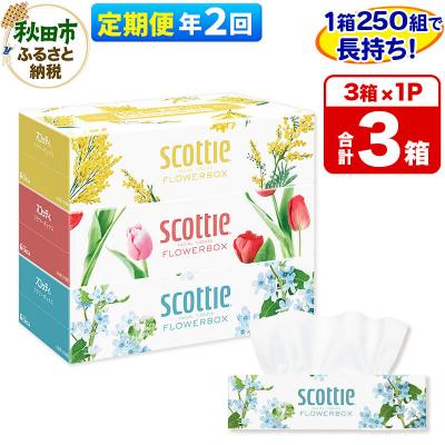 ふるさと納税 秋田市 《2回定期便》ティッシュ スコッティフラワーボックス 250組 3箱×1|15_nsc-060102