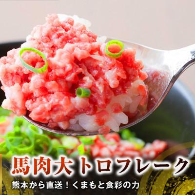 ふるさと納税 水俣市 熊本直送　馬刺しブロック肉　上霜降り(トロ)400g+大トロフレーク300g(水俣市) |  | 01
