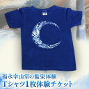 【ふるさと納税】＜予約制＞福永幸山堂の藍染体験 Tシャツ体験チケット 福永幸山堂《30日以内に出荷予定(土日祝除く)》熊本県 御船町 Tシャツ 体験 チケット オリジナル 藍染