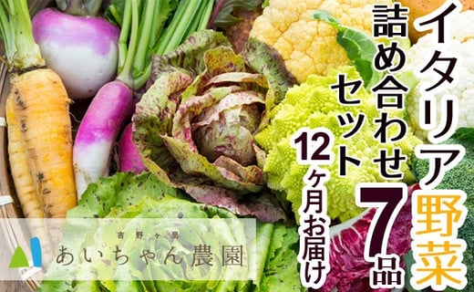
            【定期便セット】全12回 季節のイタリア野菜詰め合わせセット7品(西洋野菜・珍野菜など）
          