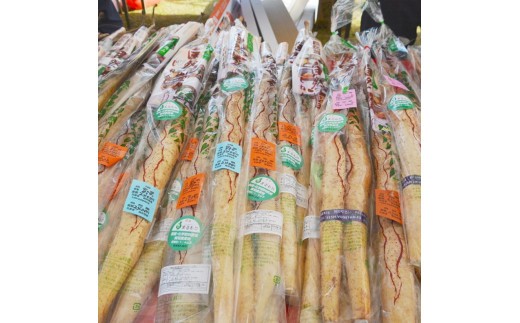 【先行予約】丸森町産 自然薯1kg 専用化粧箱入り レシピ集付き