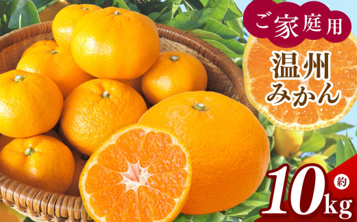 訳あり ご家庭用 温州みかん 約10kg ( 約5kg × 2箱 ) 村上農園 | フルーツ 果物 くだもの 柑橘 柑橘類 ミカン みかん 温州ミカン オレンジ 熊本県 玉名市