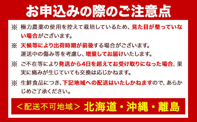 みかん はるみ ご家庭用 1kg+250g（傷み補償）サイズ混合 池田鹿蔵農園@日高町《2月上旬-3月末頃出荷》和歌山県 日高町 フルーツ 果物 柑橘 希少品種 送料無料 訳あり【配送不可地域あり】-