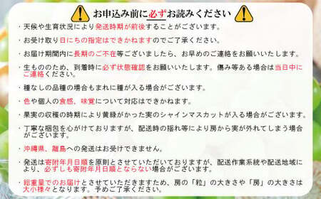シャインマスカット 約1kg（約1～2房）《田子農園》■2024年発送■※9月中旬頃～11月上旬頃まで順次発送予定